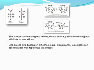 Si el azúcar contiene un grupo cetona, es una cetosa, y si contienen un grupo
aldehído, es una aldosa.
Esta prueba está basada en el hecho de que, al calentarlas, las cetosas son
deshidratadas más rápido que las aldosas.
 