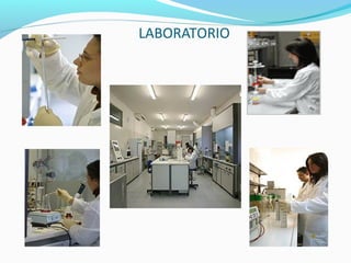 LABORATORIO
 