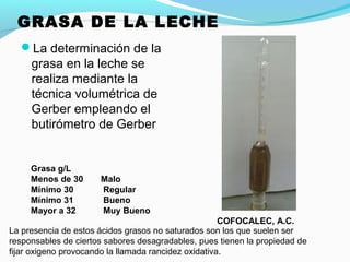 GRASA DE LA LECHE
La determinación de la
grasa en la leche se
realiza mediante la
técnica volumétrica de
Gerber empleando el
butirómetro de Gerber
Grasa g/L
Menos de 30 Malo
Mínimo 30 Regular
Mínimo 31 Bueno
Mayor a 32 Muy Bueno
COFOCALEC, A.C.
La presencia de estos ácidos grasos no saturados son los que suelen ser
responsables de ciertos sabores desagradables, pues tienen la propiedad de
fijar oxigeno provocando la llamada rancidez oxidativa.
 
