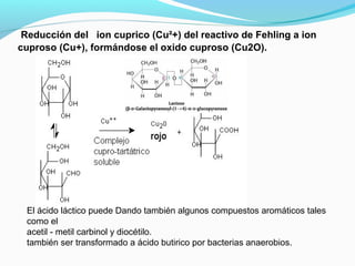 Reducción del ion cuprico (Cu²+) del reactivo de Fehling a ion
cuproso (Cu+), formándose el oxido cuproso (Cu2O).
El ácido láctico puede Dando también algunos compuestos aromáticos tales
como el
acetil - metil carbinol y diocétilo.
también ser transformado a ácido butirico por bacterias anaerobios.
 