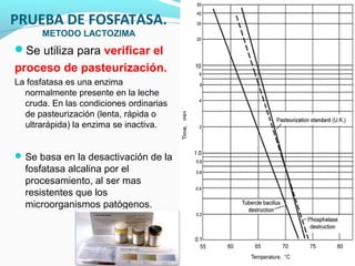 PRUEBA DE FOSFATASA.
METODO LACTOZIMA
Se utiliza para verificar el
proceso de pasteurización.
La fosfatasa es una enzima
normalmente presente en la leche
cruda. En las condiciones ordinarias
de pasteurización (lenta, rápida o
ultrarápida) la enzima se inactiva.
Se basa en la desactivación de la
fosfatasa alcalina por el
procesamiento, al ser mas
resistentes que los
microorganismos patógenos.
 