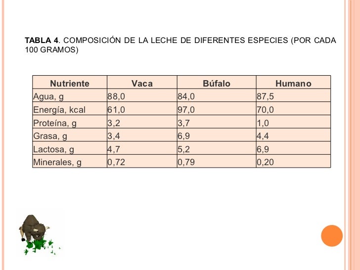 LECHE DE BUFALA LECHE DE BUFALA