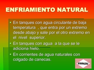 ENFRIAMIENTO NATURAL
 En tanques con agua circulante de baja
temperatura , que entra por un extremo
desde abajo y sale por el otro extremo en
el nivel superior.
 En tanques con agua a la que se le
adiciona hielo.
 En corrientes de agua naturales con
colgado de canecas.
 