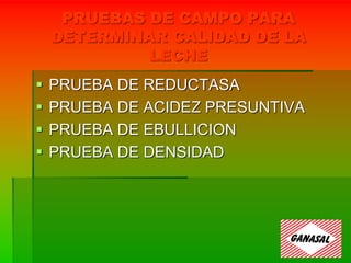 PRUEBAS DE CAMPO PARA
DETERMINAR CALIDAD DE LA
LECHE
 PRUEBA DE REDUCTASA
 PRUEBA DE ACIDEZ PRESUNTIVA
 PRUEBA DE EBULLICION
 PRUEBA DE DENSIDAD
 