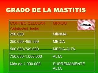 GRADO DE LA MASTITIS
CONTEO CELULAR
Células/ml. leche
GRADO
250.000 MÍNIMA
250.000-499.999 MEDIA
500.000-749.000 MEDIA-ALTA
750.000-1.000.000 ALTA
Más de 1.000.000 SUPREMAMENTE
ALTA
 