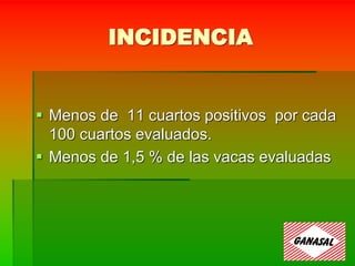 INCIDENCIA
 Menos de 11 cuartos positivos por cada
100 cuartos evaluados.
 Menos de 1,5 % de las vacas evaluadas
 