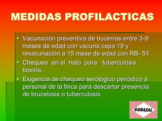 MEDIDAS PROFILACTICAS
 Vacunación preventiva de bucerras entre 3-9
meses de edad con vacuna cepa 19 y
revacunación a 15 mese de edad con RB- 51.
 Chequeo en el hato para tuberculosis
bovina.
 Exigencia de chequeo serológico periódico a
personal de la finca para descartar presencia
de brucelosis o tuberculosis.
 