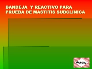 BANDEJA Y REACTIVO PARA
PRUEBA DE MASTITIS SUBCLINICA
 