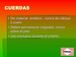 CUERDAS
 De material sintético , nunca de cabuya
o cuero
 Deben permanecer colgadas, nunca
sobre el piso
 Uso exclusivo durante el ordeño
 