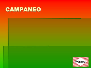 CAMPANEO
 