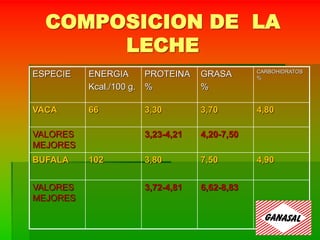 COMPOSICION DE LA
LECHE
ESPECIE ENERGIA
Kcal./100 g.
PROTEINA
%
GRASA
%
CARBOHIDRATOS
%
VACA 66 3,30 3,70 4,80
VALORES
MEJORES
3,23-4,21 4,20-7,50
BUFALA 102 3,80 7,50 4,90
VALORES
MEJORES
3,72-4,81 6,62-8,83
 