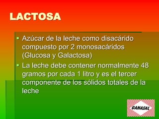 LACTOSA
 Azúcar de la leche como disacárido
compuesto por 2 monosacáridos
(Glucosa y Galactosa)
 La leche debe contener normalmente 48
gramos por cada 1 litro y es el tercer
componente de los sólidos totales de la
leche
 