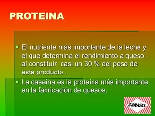 PROTEINA
 El nutriente más importante de la leche y
el que determina el rendimiento a queso ,
al constituír casi un 30 % del peso de
este producto .
 La caseína es la proteína más importante
en la fabricación de quesos.
 