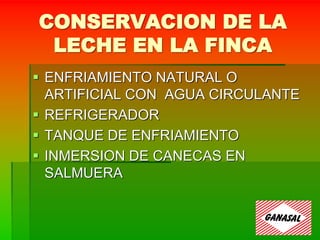 CONSERVACION DE LA
LECHE EN LA FINCA
 ENFRIAMIENTO NATURAL O
ARTIFICIAL CON AGUA CIRCULANTE
 REFRIGERADOR
 TANQUE DE ENFRIAMIENTO
 INMERSION DE CANECAS EN
SALMUERA
 