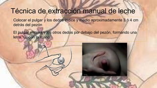 Leche materna extraccion y almacenamiento