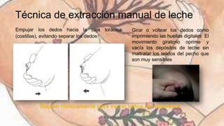 Leche materna extraccion y almacenamiento