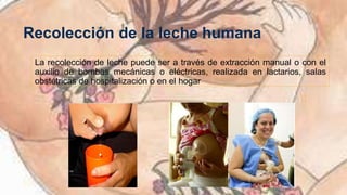 Leche materna extraccion y almacenamiento