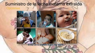 Leche materna extraccion y almacenamiento