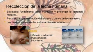 Leche materna extraccion y almacenamiento