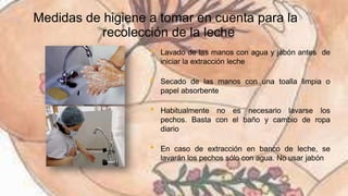 Leche materna extraccion y almacenamiento