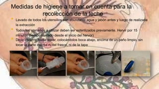 Leche materna extraccion y almacenamiento