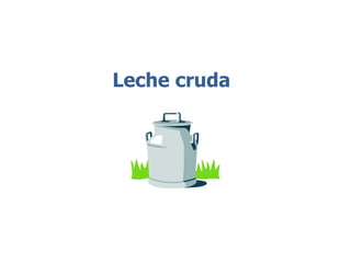 Leche cruda
 