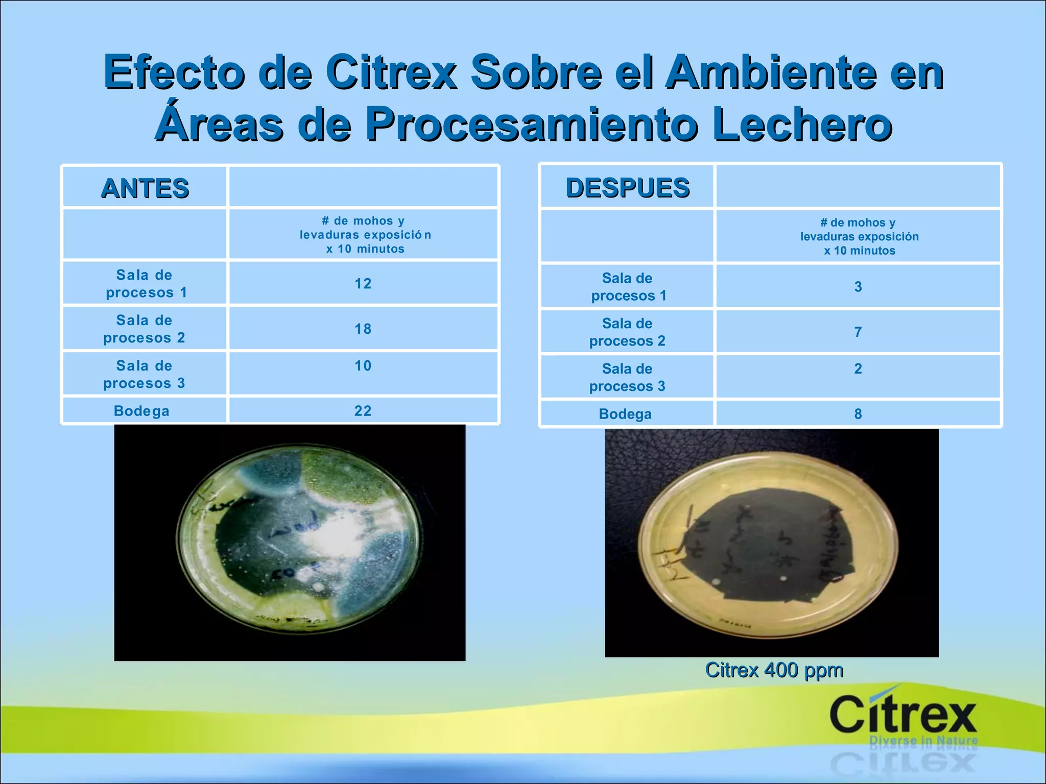 Efecto de Citrex Sobre el Ambiente en Áreas de Procesamiento Lechero Citrex 400 ppm DESPUES # de mohos y levaduras exposición x 10 minutos Sala de procesos 1 3 Sala de procesos 2 7 Sala de procesos 3 2 Bodega  8 ANTES # de mohos y levaduras exposición x 10 minutos Sala de procesos 1 12 Sala de procesos 2 18 Sala de procesos 3 10 Bodega  22 