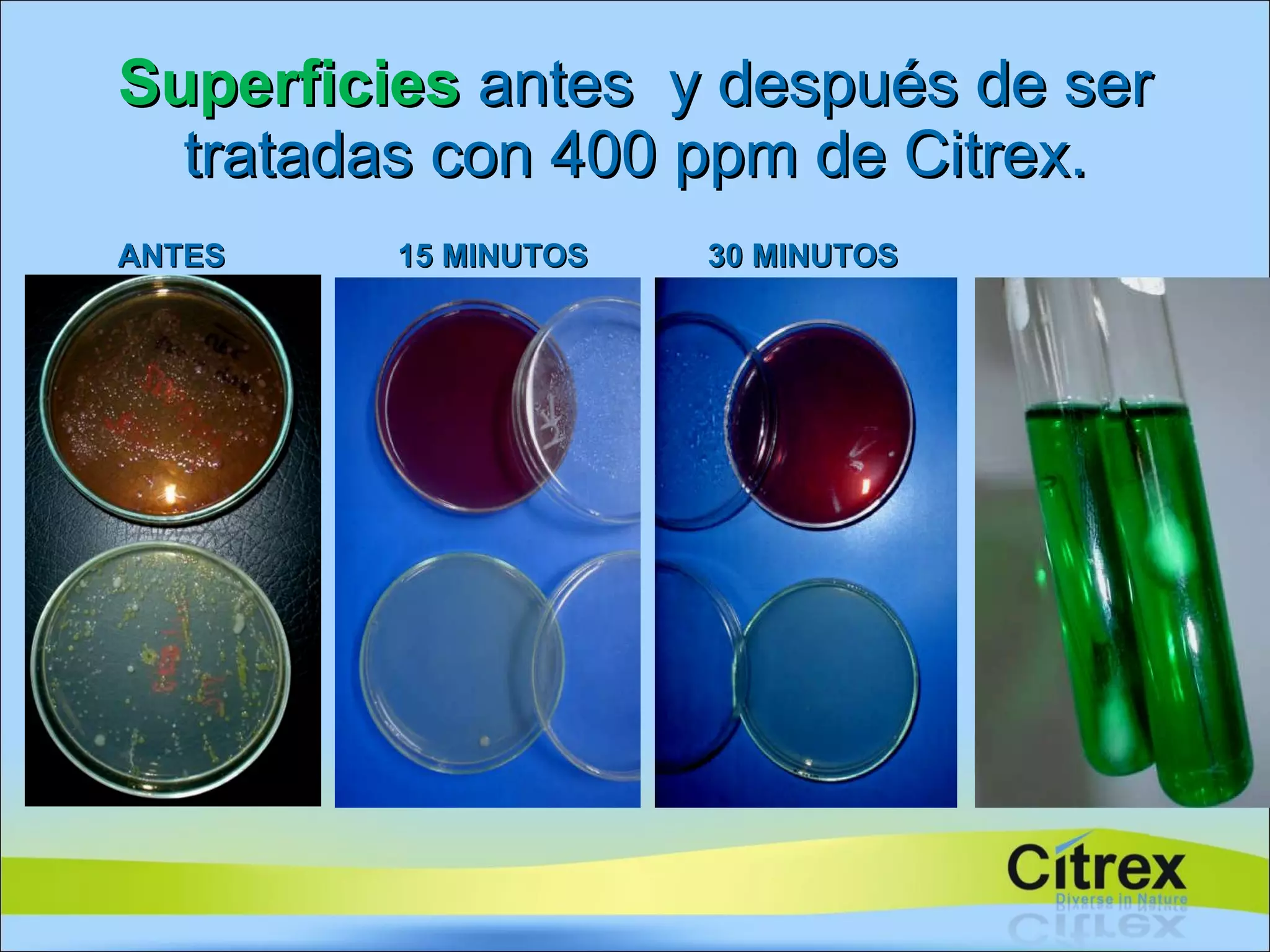 Superficies   antes  y después de ser tratadas con 400 ppm de Citrex. ANTES 15 MINUTOS 30 MINUTOS 