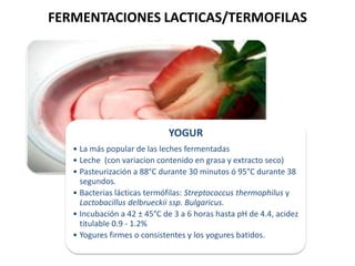 FERMENTACIONES LACTICAS/TERMOFILAS

YOGUR
• La más popular de las leches fermentadas
• Leche (con variacion contenido en grasa y extracto seco)
• Pasteurización a 88°C durante 30 minutos ó 95°C durante 38
segundos.
• Bacterias lácticas termófilas: Streptococcus thermophilus y
Lactobacillus delbrueckii ssp. Bulgaricus.
• Incubación a 42 ± 45°C de 3 a 6 horas hasta pH de 4.4, acidez
titulable 0.9 - 1.2%
• Yogures firmes o consistentes y los yogures batidos.

 