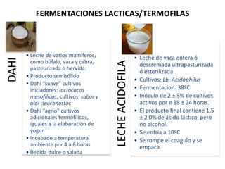 • Leche de varios mamíferos,
como búfalo, vaca y cabra,
pasteurizada o hervida.
• Producto semisólido
• Dahi “suave” cultivos
iniciadores: lactococos
mesofilicos; cultivos sabor y
olor :leuconostoc
• Dahi “agrio” cultivos
adicionales termofílicos,
iguales a la elaboración de
yogur.
• Incubado a temperatura
ambiente por 4 a 6 horas
• Bebida dulce o salada

LECHE ACIDOFILA

DAHI

FERMENTACIONES LACTICAS/TERMOFILAS

• Leche de vaca entera ó
descremada ultrapasturizada
ó esterilizada
• Cultivos: Lb. Acidophilus
• Fermentacion: 38ºC
• Inóculo de 2 ± 5% de cultivos
activos por e 18 ± 24 horas.
• El producto final contiene 1,5
± 2,0% de ácido láctico, pero
no alcohol.
• Se enfría a 10ºC
• Se rompe el coagulo y se
empaca.

 
