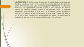 ¿QUÉESLALECHE?Esel producto de secreción de las glándulas mamarias de las
hembras mamíferas, siendo el alimento único durante el periodo de lactancia
de las diferentes especies. ¿Qué nutrientes aporta? -PROTEÍNAS: de alto valor
biológico, con capacidad de aumentar el valor de otras proteínas de inferior
calidad, tal como los cereales, cuando se los consume juntos. La proteína
específica y mayoritaria de la leche (80%) es la caseína. Está en suspensión
formando micelas, no se coagula al calentar la leche a 100°C pero sí al bajar el
pH a 4,6. El 20% restante son las proteínas del suero, lactoalbúminas y
lactoglobulinas, que tienen importantes funciones inmunológicas.
 
