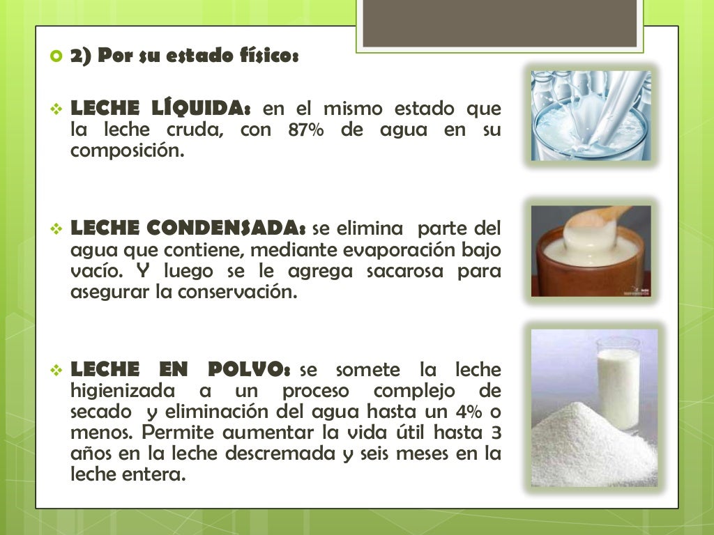 Leche y sus derivados principales
