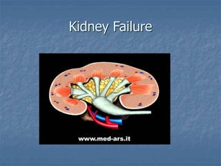 Kidney Failure
 