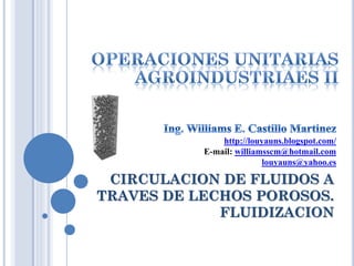 CIRCULACION DE FLUIDOS A
TRAVES DE LECHOS POROSOS.
FLUIDIZACION
http://louyauns.blogspot.com/
E-mail: williamsscm@hotmail.com
louyauns@yahoo.es
 