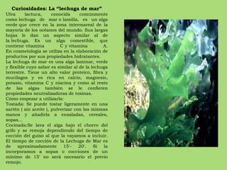 Curiosidades: La “lechuga de mar” Ulva lactuca, conocida comúnmente como lechuga de mar o lamilla, es un alga verde que crece en la zona intermareal de la mayoría de los océanos del mundo. Sus largas hojas le dan un aspecto similar al de la lechuga. Es un alga comestible, que contiene vitamina C y vitamina A. En cosmetología se utiliza en la elaboración de productos por sus propiedades hidratantes. La lechuga de mar es una alga laminar, verde y flexible cuyo sabor es similar al de la lechuga terrestre. Tiene un alto valor proteico, fibra y mucílagos y es rica en calcio, magnesio, potasio, vitamina C y niacina y como al resto de las algas también se le confieren propiedades neutralizadoras de toxinas. Cómo empezar a utilizarla: Tostada: Se puede tostar ligeramente en una sartén ( sin aceite ), pulverizar con las mismas manos y añadirla a ensaladas, cereales, sopas... Cocinada:Se lava el alga bajo el chorro del grifo y se remoja dependiendo del tiempo de cocción del guiso al que la vayamos a incluir. El tiempo de cocción de la Lechuga de Mar es de aproximadamente 15'- 20'. Si la incorporamos a sopas o cocciones de un mínimo de 15' no será necesario el previo remojo. 