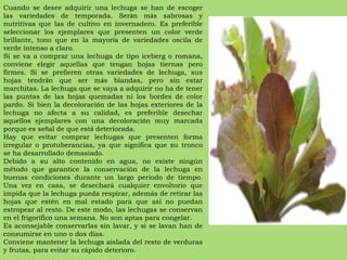 Cuando se desee adquirir una lechuga se han de escoger las variedades de temporada. Ser á n m á s sabrosas y nutritivas que las de cultivo en invernadero. Es preferible seleccionar los ejemplares que presenten un color verde brillante, tono que en la mayor í a de variedades oscila de verde intenso a claro. Si se va a comprar una lechuga de tipo iceberg o romana, conviene elegir aquellas que tengan hojas tiernas pero firmes. Si se prefieren otras variedades de lechuga, sus hojas tendr á n que ser m á s blandas, pero sin estar marchitas. La lechuga que se vaya a adquirir no ha de tener las puntas de las hojas quemadas ni los bordes de color pardo. Si bien la decoloraci ó n de las hojas exteriores de la lechuga no afecta a su calidad, es preferible desechar aquellos ejemplares con una decoloraci ó n muy marcada porque es se ñ al de que est á  deteriorada. Hay que evitar comprar lechugas que presenten forma irregular o protuberancias, ya que significa que su tronco se ha desarrollado demasiado. Debido a su alto contenido en agua, no existe ningún método que garantice la conservación de la lechuga en buenas condiciones durante un largo periodo de tiempo. Una vez en casa, se desechará cualquier envoltorio que impida que la lechuga pueda respirar, además de retirar las hojas que estén en mal estado para que así no puedan estropear al resto. De este modo, las lechugas se conservan en el frigorífico una semana. No son aptas para congelar. Es aconsejable conservarlas sin lavar, y si se lavan han de consumirse en uno o dos días. Conviene mantener la lechuga aislada del resto de verduras y frutas, para evitar su rápido deterioro. 