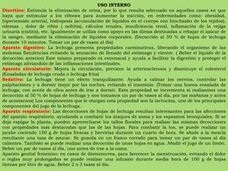USO INTERNO Diur é tico:  Estimula la eliminaci ó n de orina, por lo que resulta adecuado en aquellos casos en que haya que estimular a los ri ñ ones para aumentar la micci ó n, en enfermedades como: obesidad, hipertensi ó n arterial, hidropes í a (acumulaci ó n de l í quidos en el cuerpo con hinchaz ó n de los tejidos), edemas , dolor de ri ñó n ( nefritis), c á lculos renales, insuficiencia renal, inflamaci ó n de la vejiga urinaria (cistitis), etc. Igualmente se utiliza como apoyo en las dietas destinadas a rebajar el az ú car de la sangre, mediante la eliminaci ó n de l í quidos corporales. (Decocci ó n al 50 % de hojas de lechuga durante 10 minutos. Tomar un par de vasos al d í a) Aparato digestivo : La lechuga presenta propiedades carminativas, liberando el organismo de las molestas flatulencias evitando la sensaci ó n de llenado del est ó mago y vientre. ( Beber el l í quido de la decocci ó n anterior) Este mismo preparado es estomacal y ayuda a facilitar la digesti ó n y proteger el est ó mago aliviandolo de las inflamaciones intestinales.  Aparato circulatorio:  Mejora la circulaci ó n, previene la arteriosclerosis y disminuye el colesterol (Ensaladas de lechuga cruda o lechuga frita) Sedativa:  La lechuga tiene un efecto tranquilizante. Ayuda a calmar los nervios, controlar las palpitaciones y a dormir mejor por las noches, evitando el insomnio. (Tomar una buena ensalada de lechuga, con aceite de oliva antes de irse a dormir. Esta propiedad se incrementa si realizamos una decocci ó n al 50 % de hojas de lechuga y nos tomamos un par de vasos al d í a, por las ma ñ anas y antes de acostarnos) Los componentes que le otorgan esta propiedad son la lactucina, uno de los principales componentes del jugo de la lechuga.  Aparato respiratorio:  Las decocciones de hojas de lechuga resultan interesantes para las afecciones del aparato respiratorio, ayudando a combatir los ataques de asma y los espasmos bronquiales. Si se deja espigar la planta, pueden aprovecharse los tallos florales para realizar las mismas decocciones con propiedades m á s destacadas que las de las hojas. Para combatir la tos, se puede realizar un jarabe cociendo 150 g de hojas frescas y hervirlas durante un cuarto de hora. Se a ñ ade a la mezcla resultante una taza de azucar. Se guarda en un frasco cerrado para tomar un par de vasos al d í a calientes. Tambi é n se puede realizar una decocci ó n de unas hojas en agua. A ñ adir el jugo de un lim ó n. Beber un par de vasos al d í a, uno antes de irse a la cama.  Aparato genital femenino: en casos de dismenorrea, para favorecer la menstruaci ó n, evitando el dolor o reglas muy prolongadas se puede realizar una infusi ó n durante media hora de 100 g de hojas tiernas por litro de agua. Beber 2 o 3 tazas al d í a.  