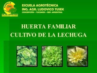 HUERTA FAMILIAR CULTIVO DE LA LECHUGA ESCUELA AGROTÉCNICA ING. AGR. LUDOVICO TUSEK CONCEPCIÓN – TUCUMÁN – REP. ARGENTINA 