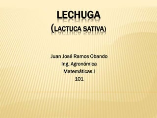 LECHUGA
(LACTUCA SATIVA)
Juan José Ramos Obando
Ing. Agronómica
Matemáticas I
101
 