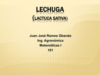 LECHUGA
(LACTUCA SATIVA)
Juan José Ramos Obando
Ing. Agronómica
Matemáticas I
101
 