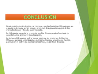 Desde nuestro punto de vista, se concluye, que las hortalizas hidropónicas, en
especial la lechuga, serían grandes proyectos de producción dentro de los
mercados locales y tiendas supermercado.
La hidroponía aumenta la economía familiar disminuyendo el costo de la
canasta básica, promueve la autogestión.
La lechuga hidropónica podría formar parte de los proyectos de Huertos
Urbanos, que cada vez más países latinoamericanos y actualmente México,
promueven el cultivo de plantas hidropónicas, en jardines de casas.
 