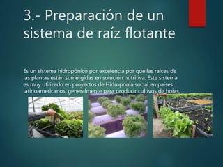 3.- Preparación de un
sistema de raíz flotante
Es un sistema hidropónico por excelencia por que las raíces de
las plantas están sumergidas en solución nutritiva. Este sistema
es muy utilizado en proyectos de Hidroponía social en países
latinoamericanos, generalmente para producir cultivos de hojas.
 