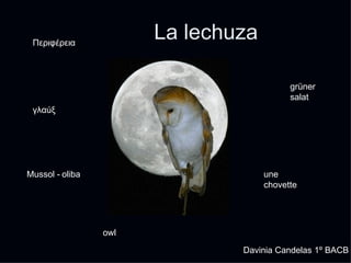 La lechuza Davinia Candelas 1º BACB Περιφέρεια   owl grüner salat une chovette Mussol - oliba γλαúξ 