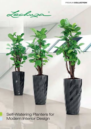 Premium Collection




Self-Watering Planters for
Modern Interior Design
 