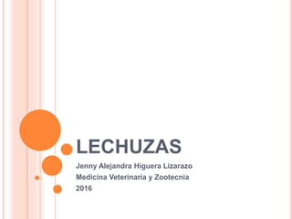 LECHUZAS
Jenny Alejandra Higuera Lizarazo
Medicina Veterinaria y Zootecnia
2016
 