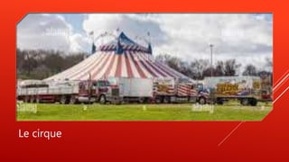 Le cirque
 