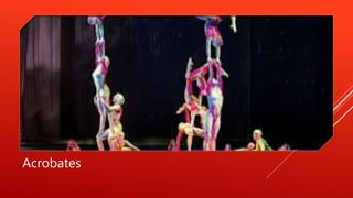 Acrobates
 