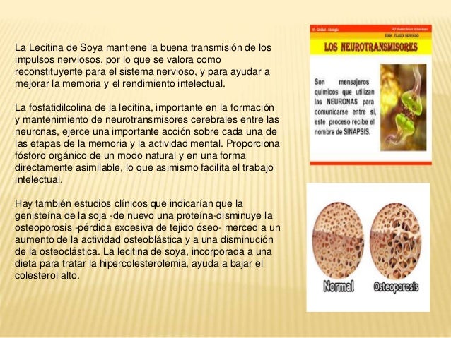 Lecitina de soya para adelgazar testimonios del