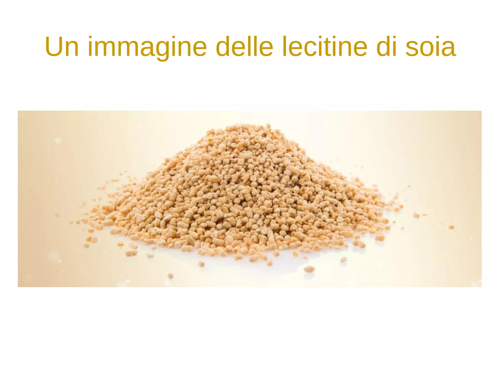 LECITINA DI SOIA GRANULARE 400 G