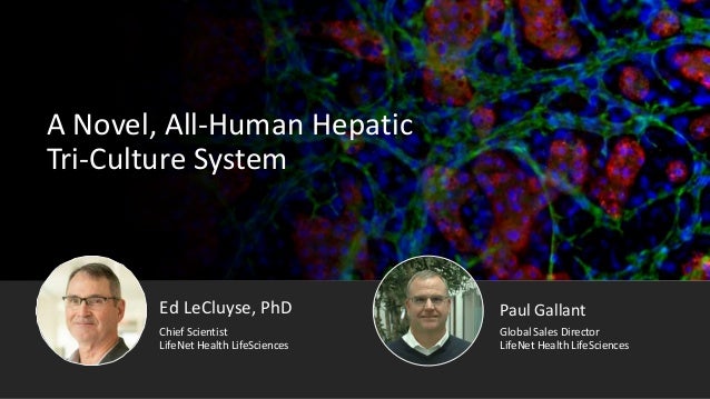 A Novel, All-Human Hepatic
Tri-Culture System
Ed LeCluyse, PhD
LifeNet Health LifeSciences
Chief Scientist
Paul Gallant
LifeNet Health LifeSciences
Global Sales Director
 